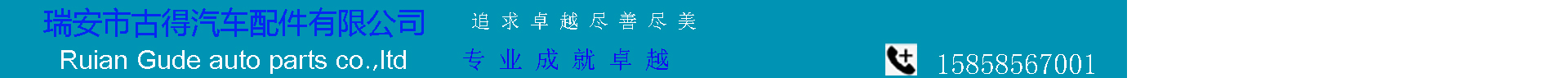 瑞安市古得汽车配件有限公司